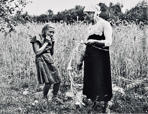 BETWEEN THE WARS.jpeg