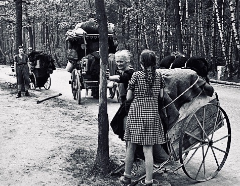 NEVER LOOK BACK.jpeg